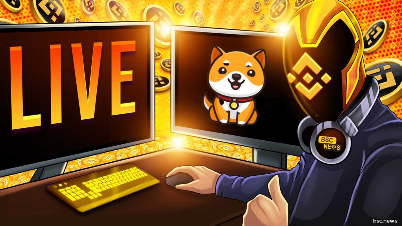 BSC News - BabyDoge Joins BSCNews to Discuss the Meme Coin's Innovations.