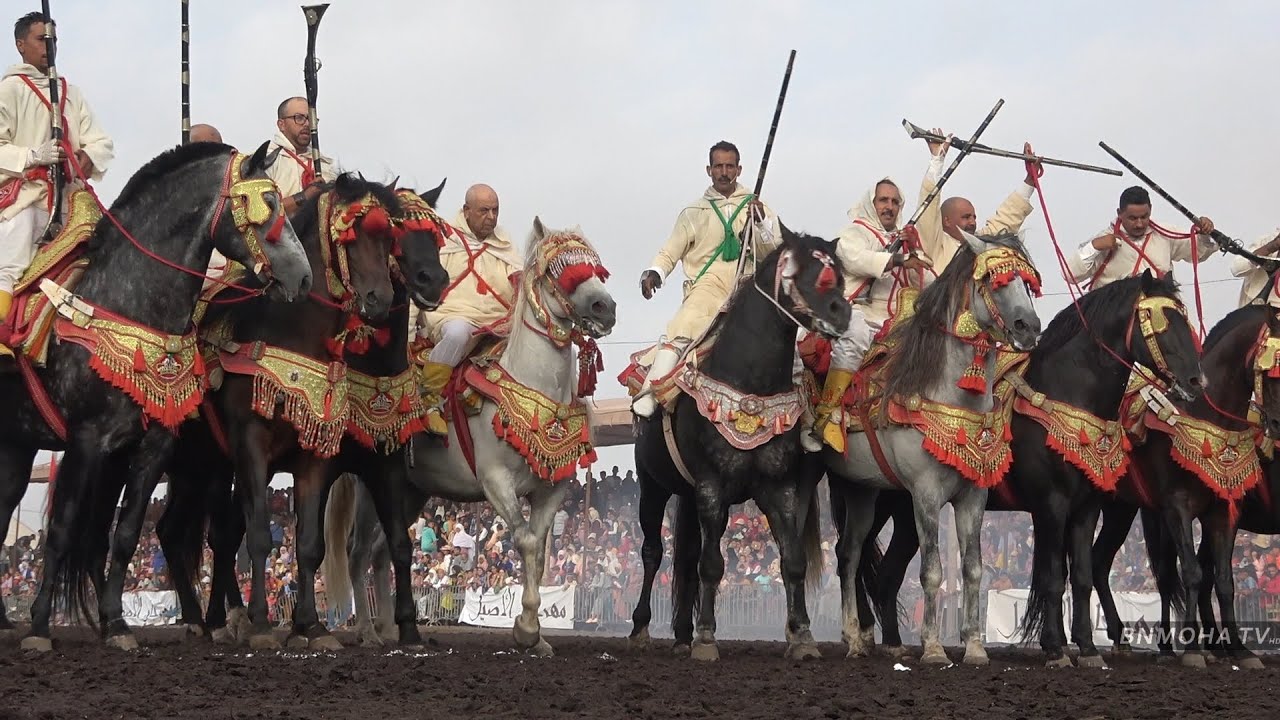 المقدم عبد الله بن بيه من اقليم سيدي قاسم 🇲🇦 🐎  في اختتام مهرجان الاصيل ب المهارزة الساحل 2023