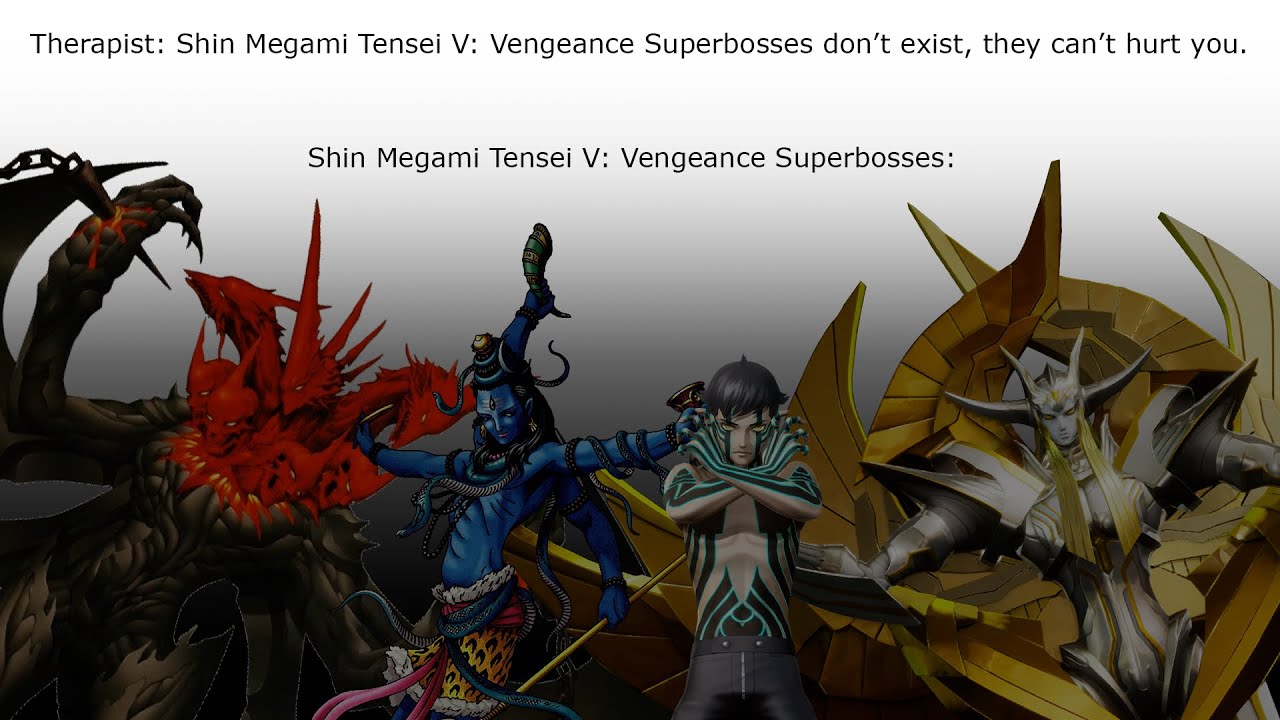 The No Damage Shin Megami Tensei V: Vengeance Godborn Superboss Experience