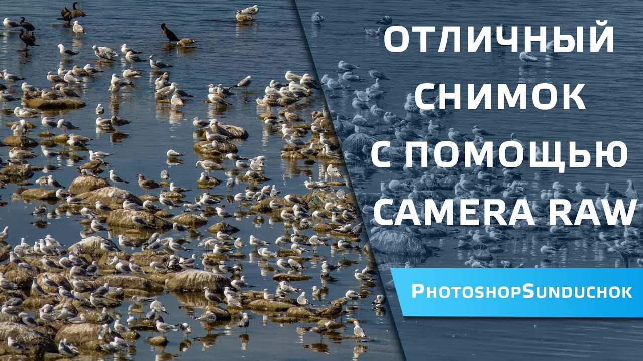 Отличный снимок с помощью Camera Raw