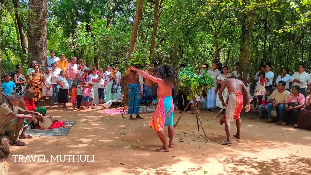 දඹානේ  කිරි කොරහා නැටීම.