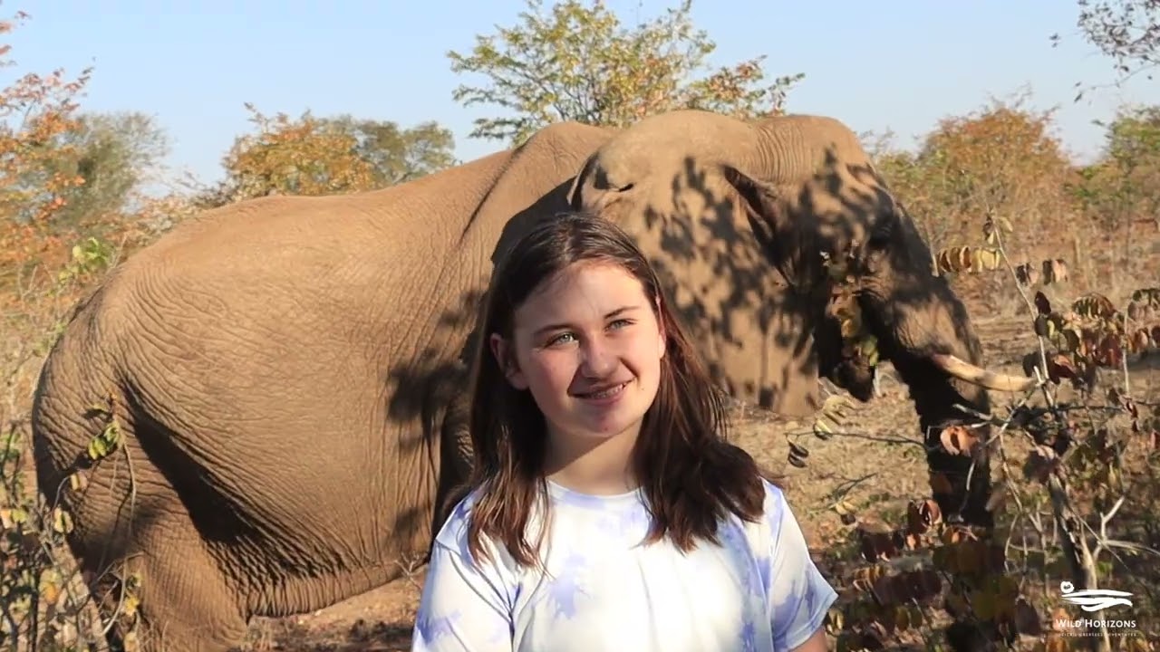Elephant Encounter at Wild Horizons Elephant Sanctuary in Zimbabwe