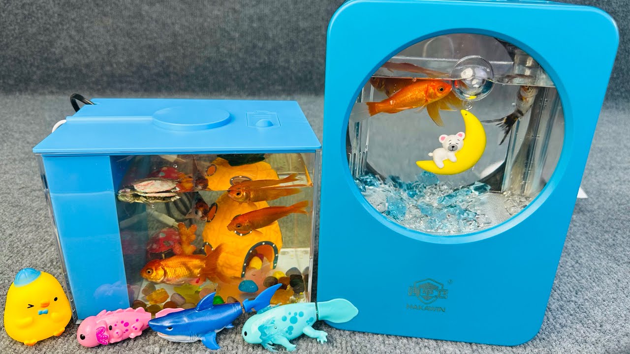 Satisfied Unboxing Happy Aquiton Magnetic Fish Robot Fish Fishing Game Set ASMR | Toy Evaluation