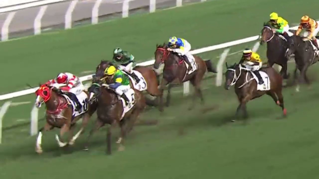 2024 05 22 跑馬地 全部賽事 直路精華片段 @racingshorts272