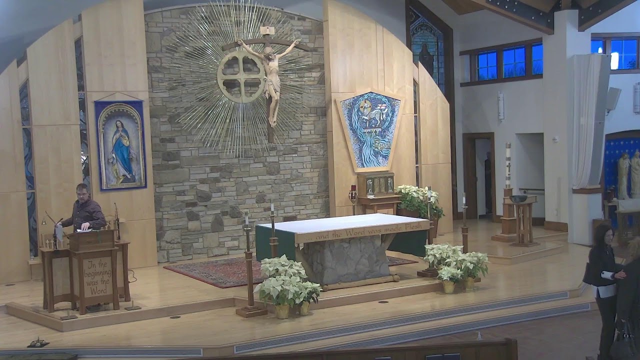 Daily Mass - 2/11/26