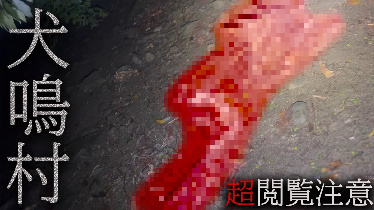【心霊】本物のヒトコワに遭遇!!犬鳴村の真相