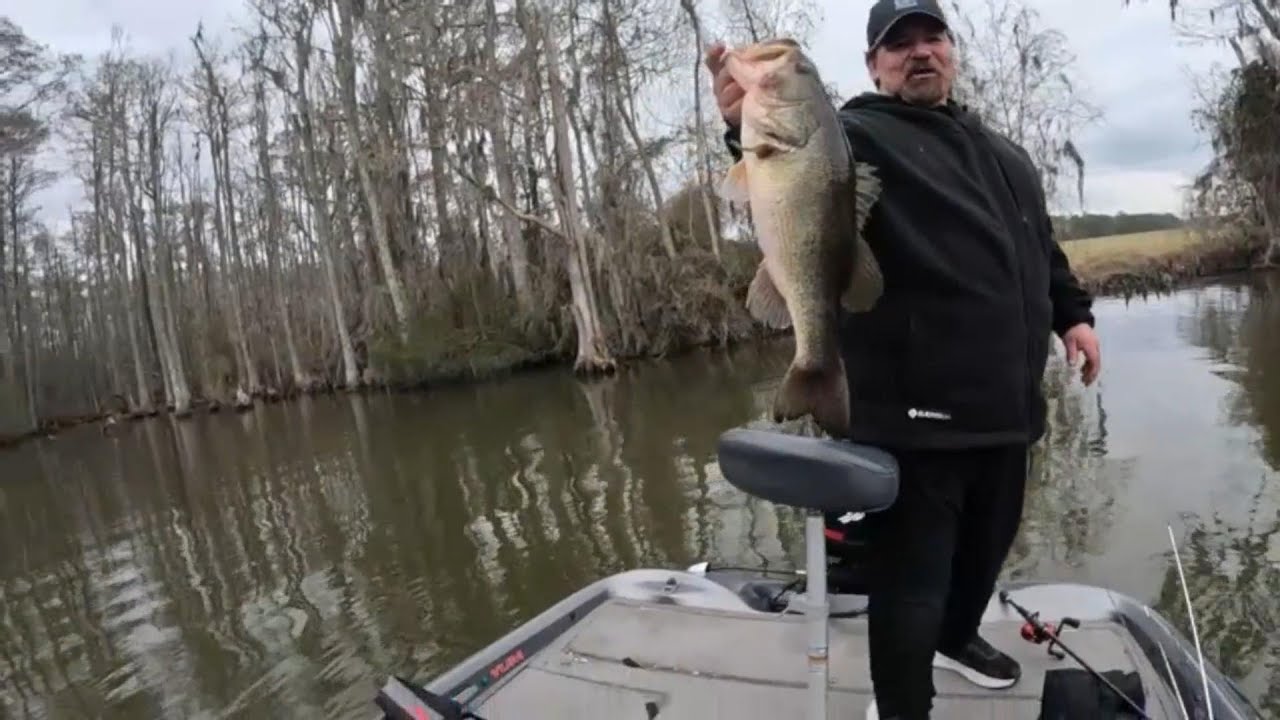 BIG BASS 5.3LBS Yeopim River Pratice 2-21-26