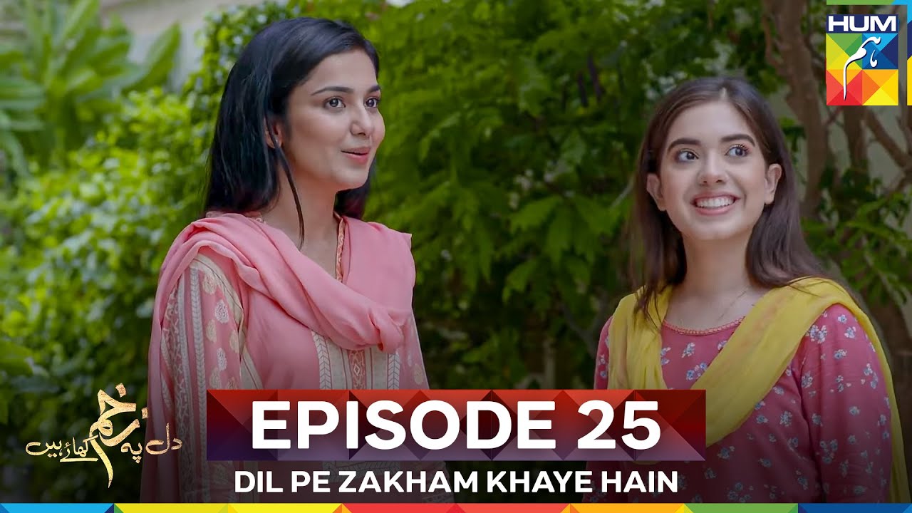 Dil Pe Zakham Khaye Hain Episode 25