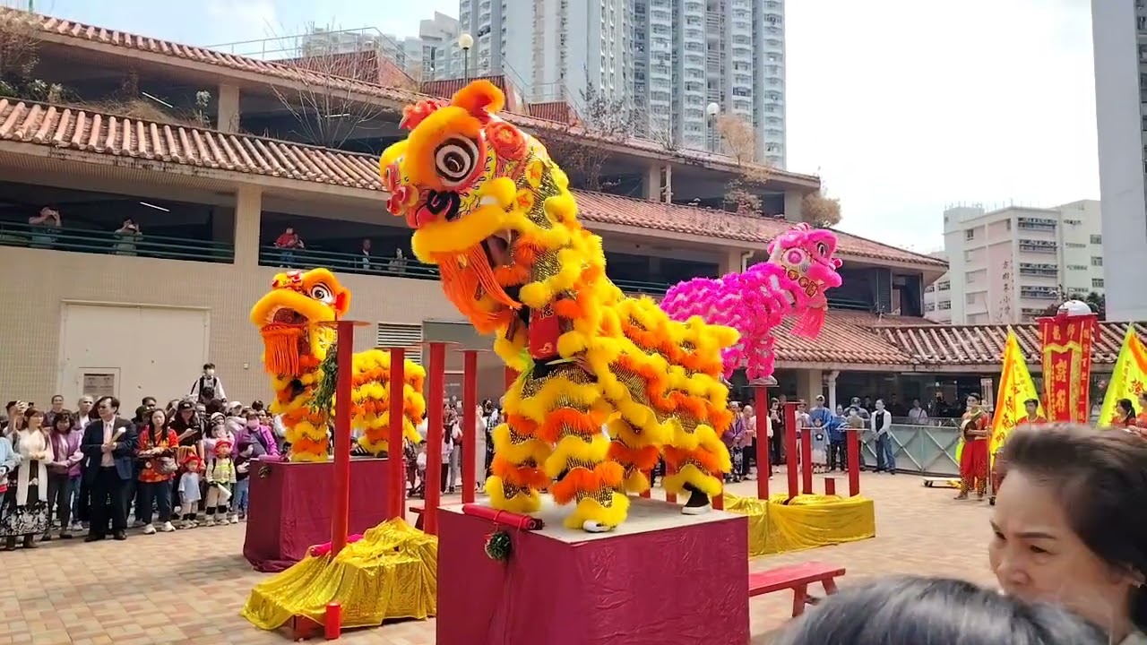 2026丙午馬年醒獅拜年祝賀大家馬年快樂～心想事成