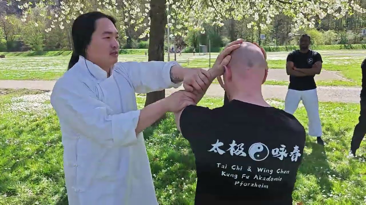 Tai Chi 24 Outdoor Training - Sektion 7 & 8