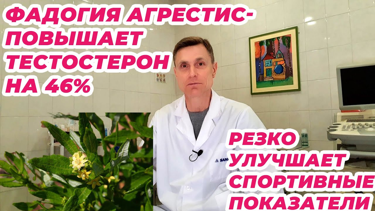Фадогия агрестис повышает тестостерон на 46%. Резко улучшает спортивные показатели.