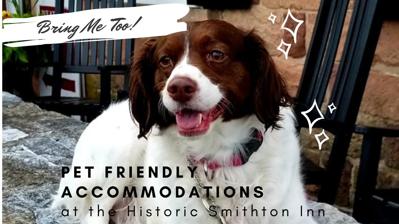 Pet Friendly Bed and Breakfast in Lancaster PA