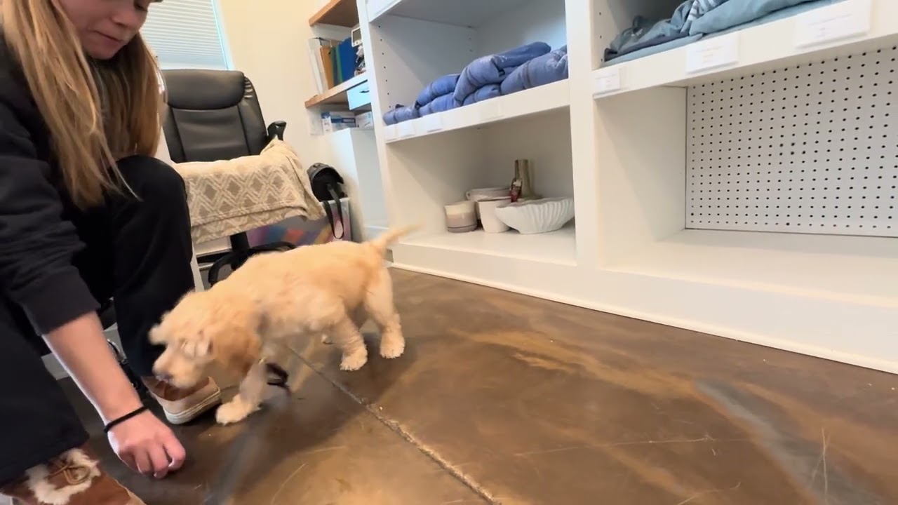 Byron works on his Sits and Downs! 2.14.26