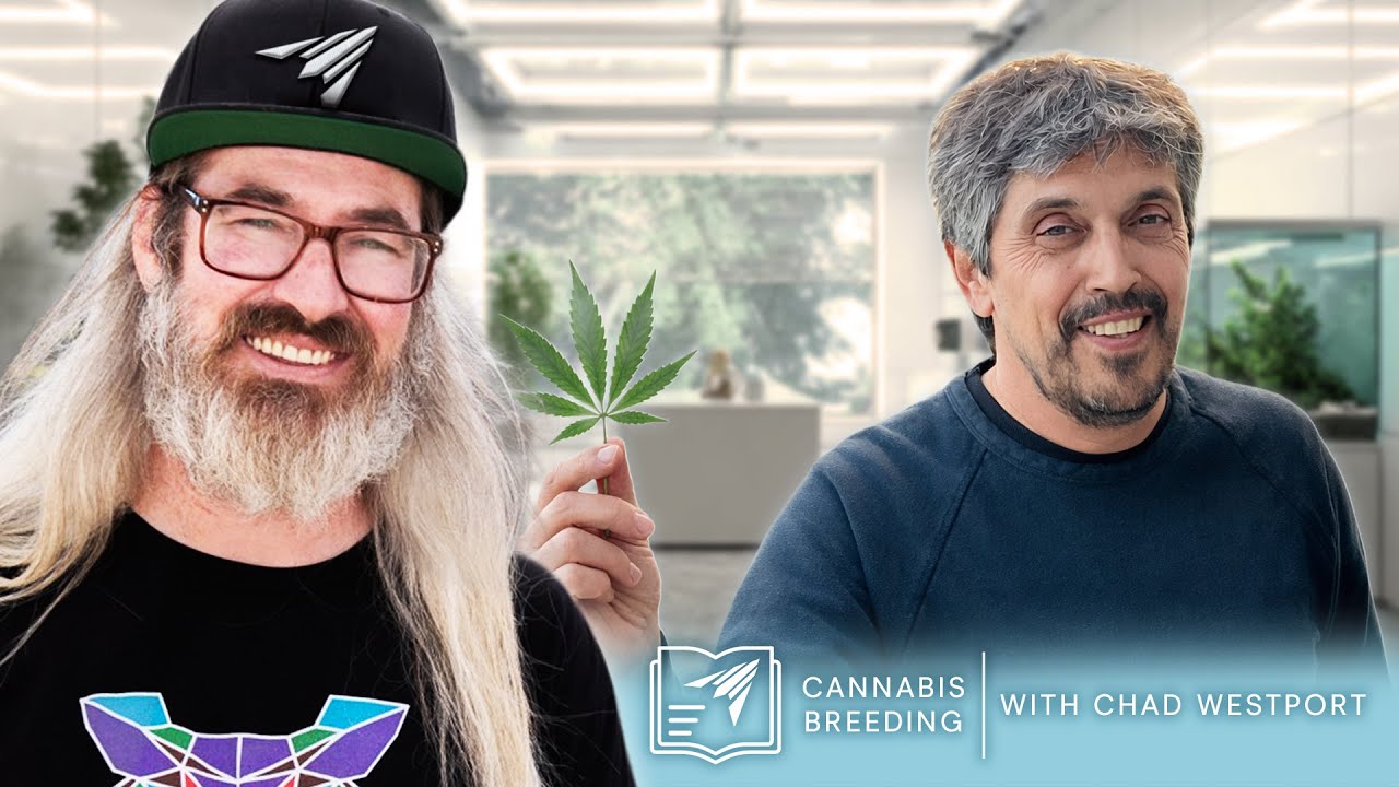 Strains That Built Modern Cannabis w/ Chad Westport & Todd McCormick | Learn with AC Infinity Ep. 3