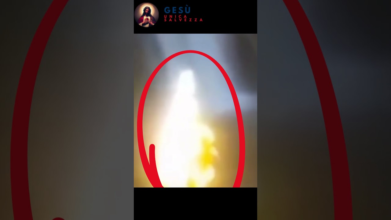 Incredibile apparizione della Vergine Maria a Fatima #miracolo #apparizionimariane #verginemaria