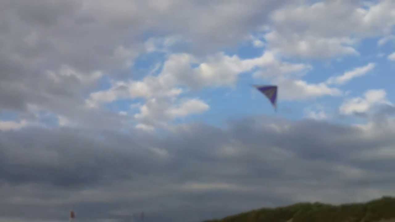 speedwing promax