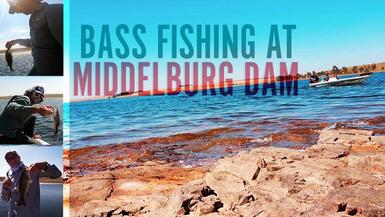 Surprisingly awesome bass fishing at Middelburg Dam