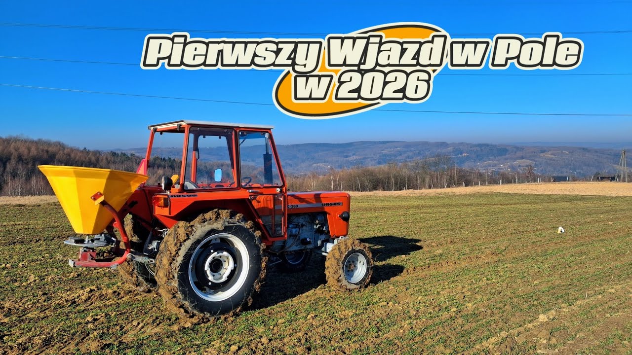 Cena Paliwa - To Wasza Wina. Rozrzucam Pieniądzory Po Polu a Co. Owies Ozimy Ż&oacute;łty Jak Lejek. Azoty!