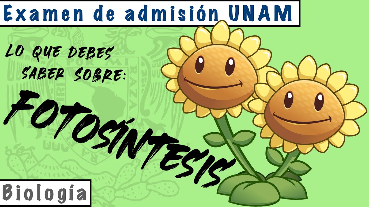 Fotosíntesis || Biología UNAM