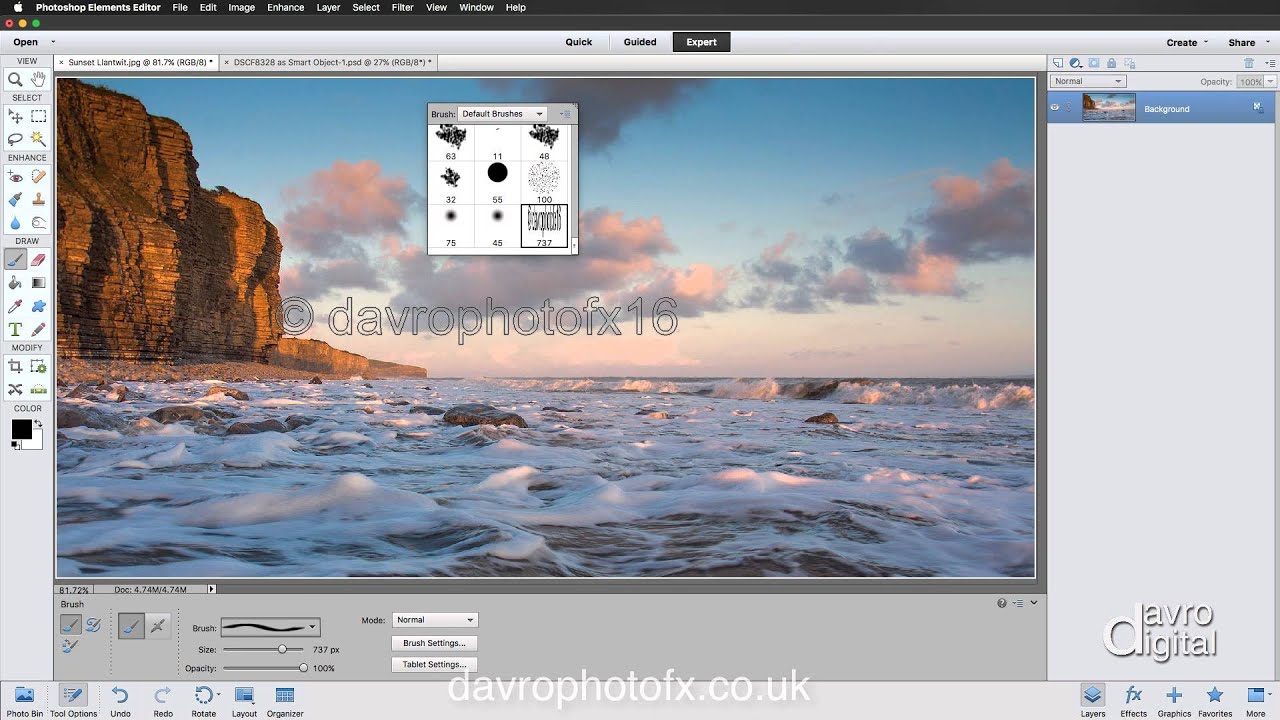 Copyright, Signature Brush Photoshop Elements