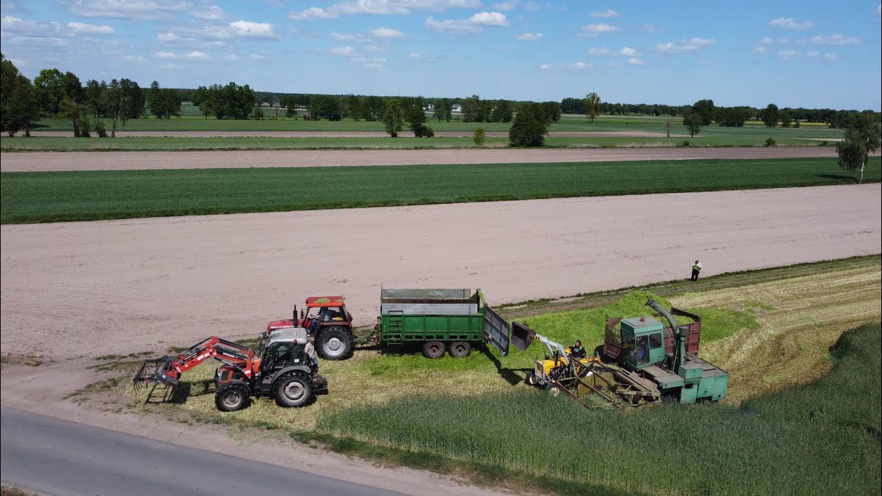 🌾Żyto na kiszonkę 2025🌾 3 Ursusy w akcji😍 forsznit e281, Zetor zakopany pod ramę?!?!