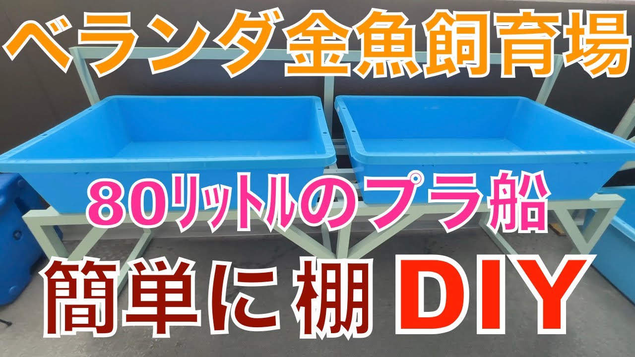 自宅ベランダの金魚飼育スペースで棚を作りました。＃金魚＃ベランダ飼育＃DIY