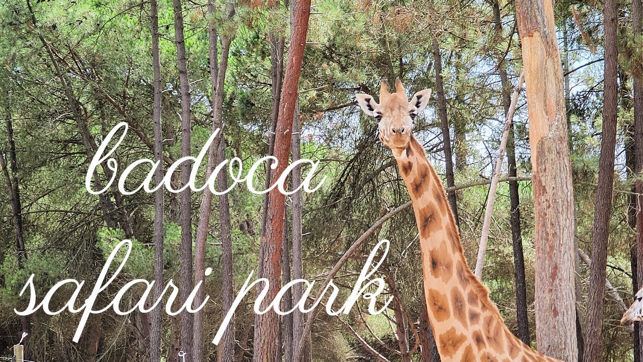 Badoca Safari Park in Portugal