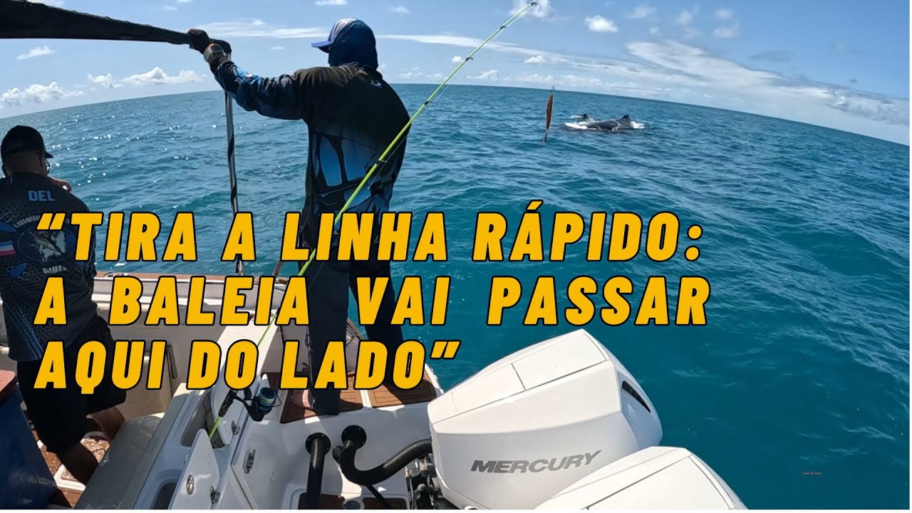 PESCARIA NO MAR, VEJAM A QUANTIDADE 👀🐟🎣