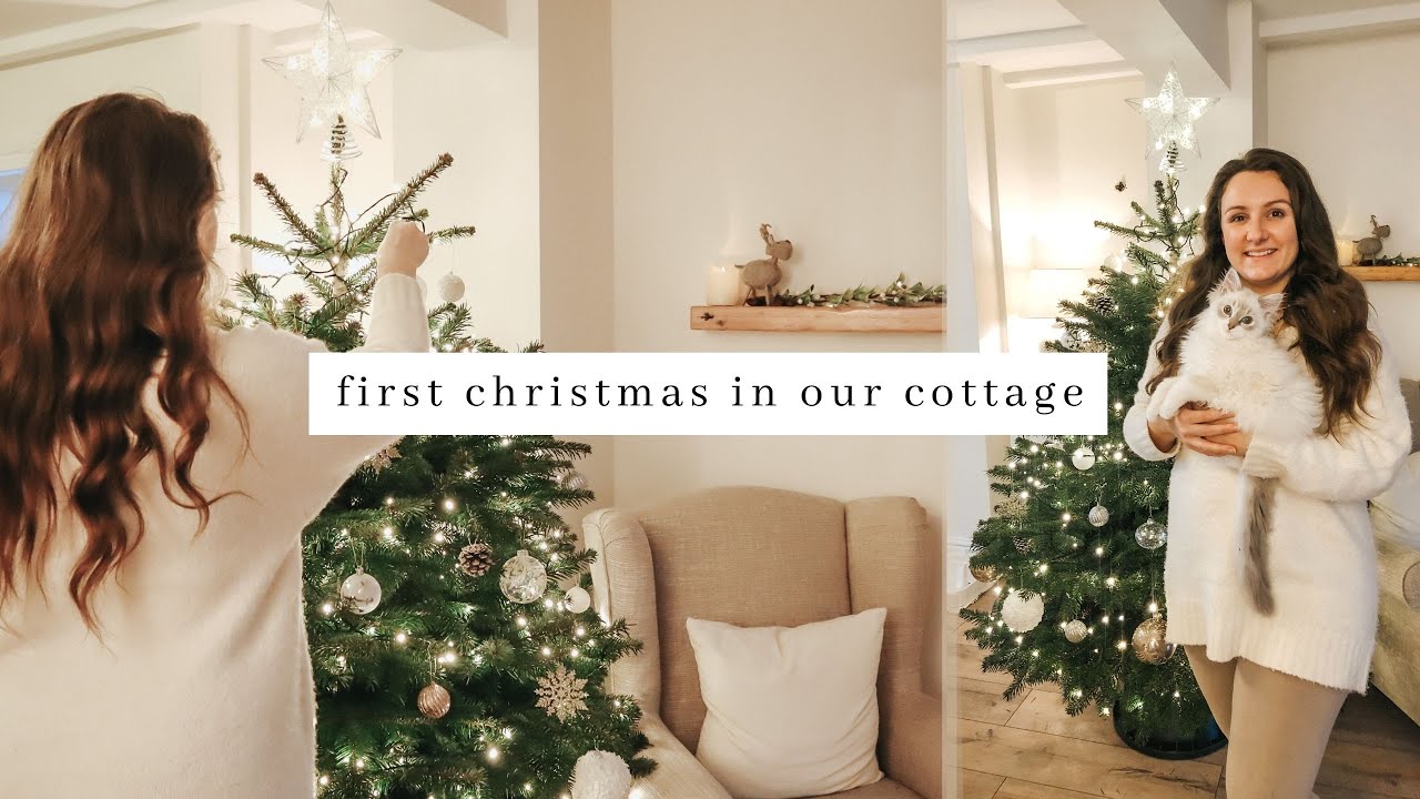 Putting Up Our Christmas Tree! 🎄🌟  Minimalist Decor ~   Ragdoll Kittens First Christmas