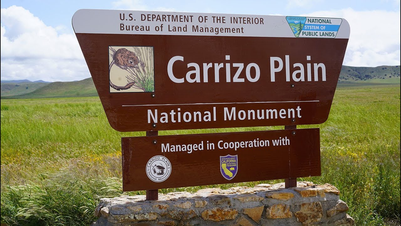 Carrizo Plain National Monument CA