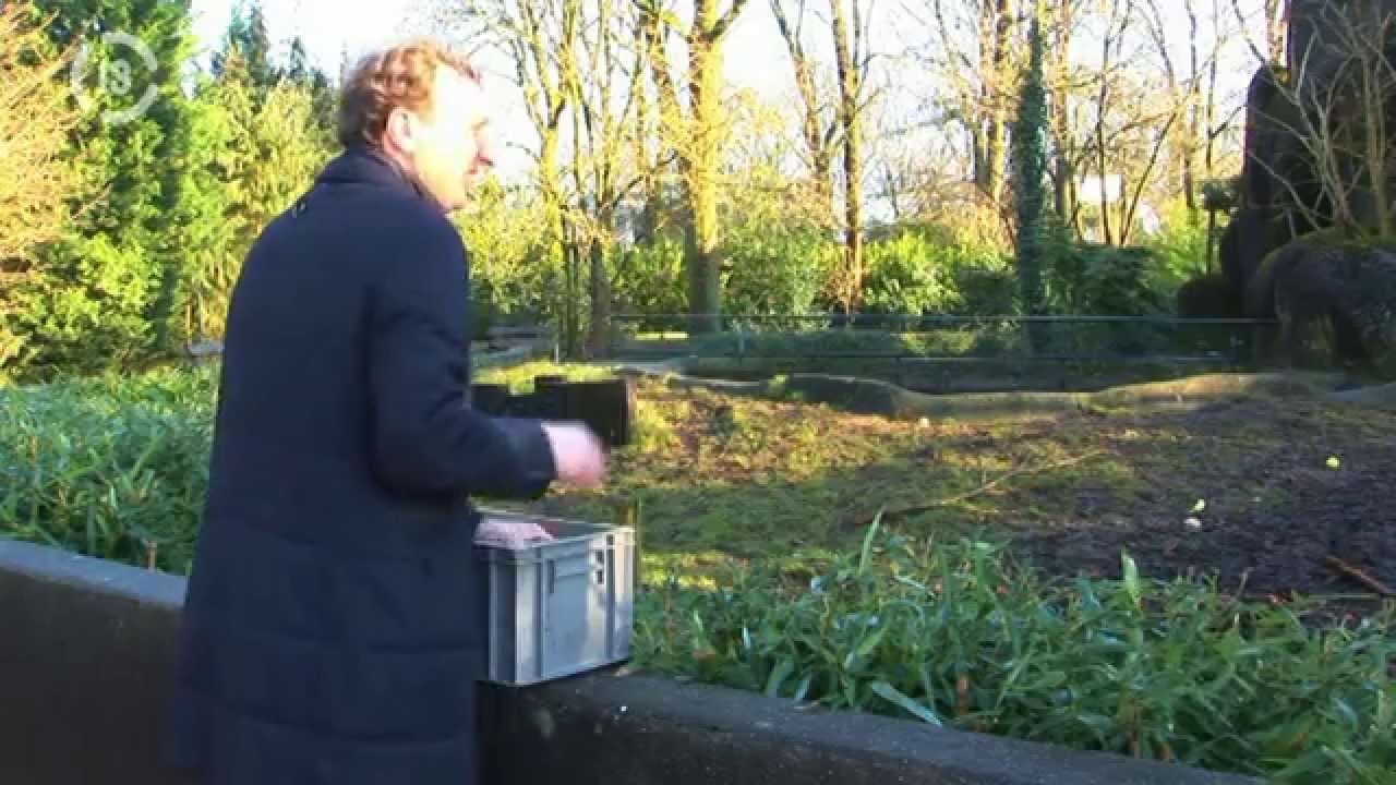 Arnhemse zoo blijft burgers boeien