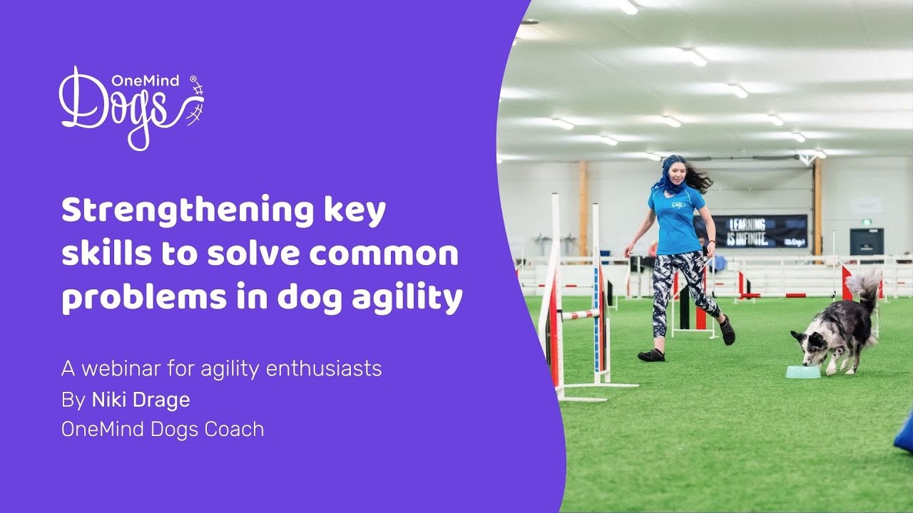 FREE Webinar: Strengthening key skills to solve common problems in dog agility