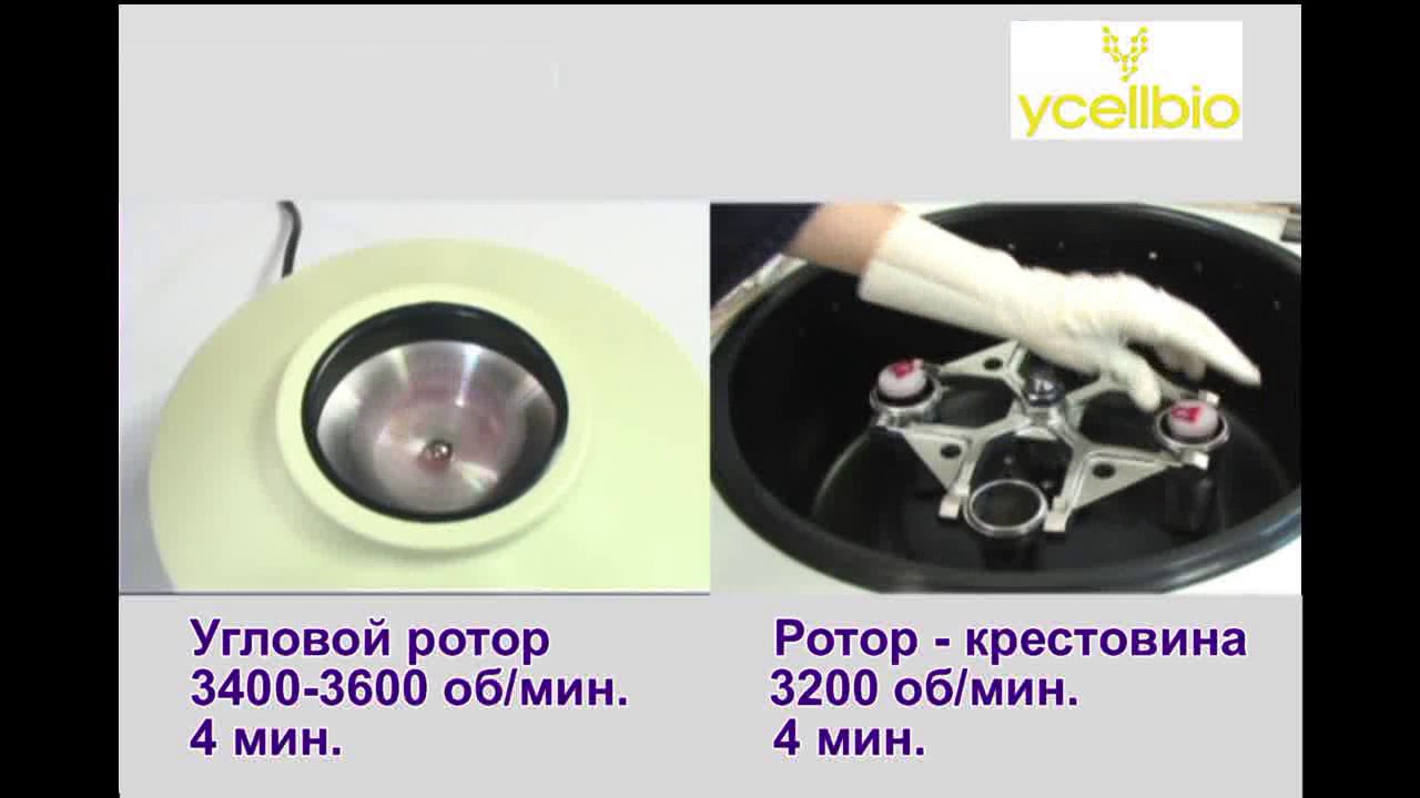 YCELLBIO PRP видео инструкция