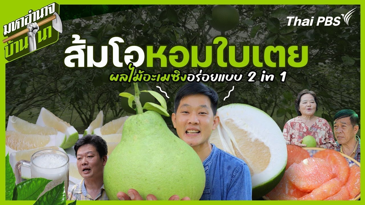 ส้มโอหอมใบเตย อร่อยแบบ 2 in 1 | มหาอำนาจบ้านนา