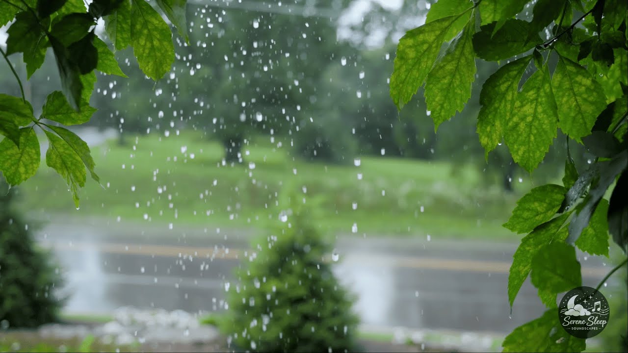 10 Hours of Rain Sounds 🌧️ – Calm & Relaxing Sleep Ambience All Night