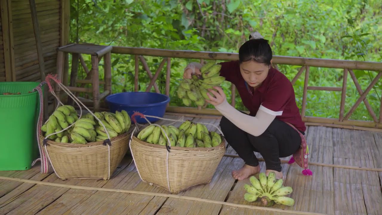 Harvesting Wild Forest Banana Bunches & Goes to Market Sell &ndash; Mountain Highland Forest Life