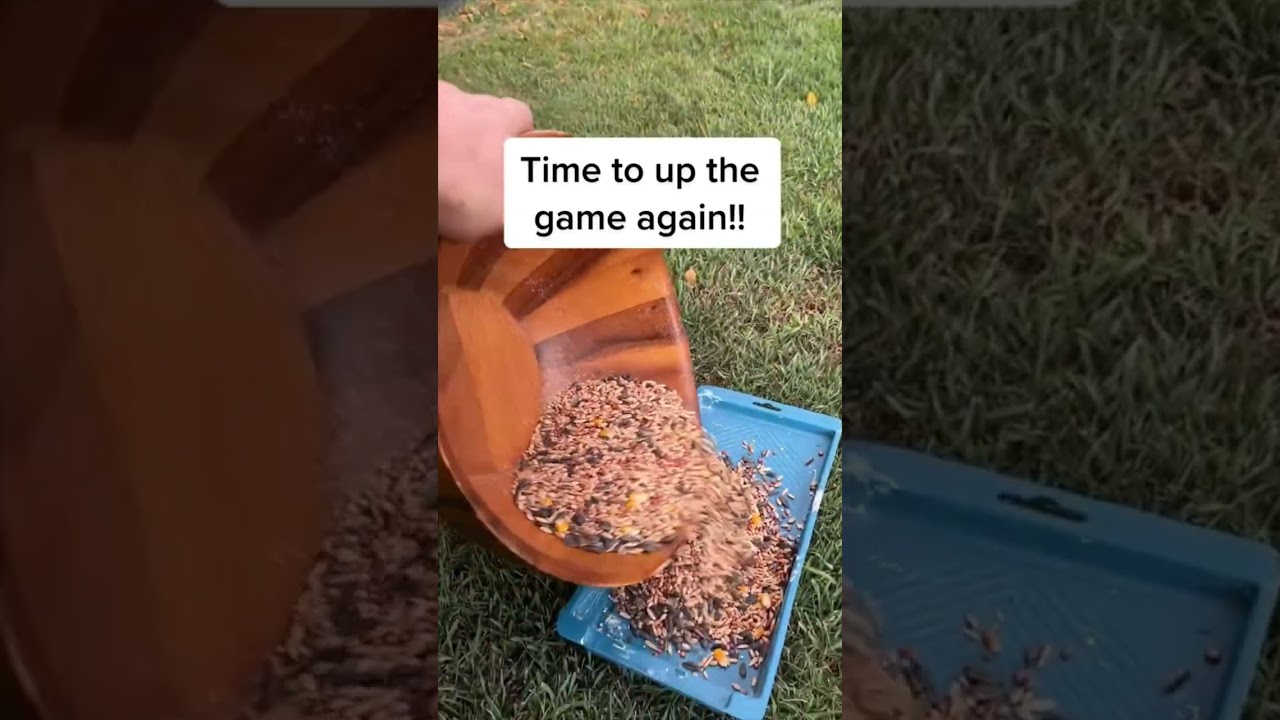 NEIGHBOUR PRANK WARS PART 11