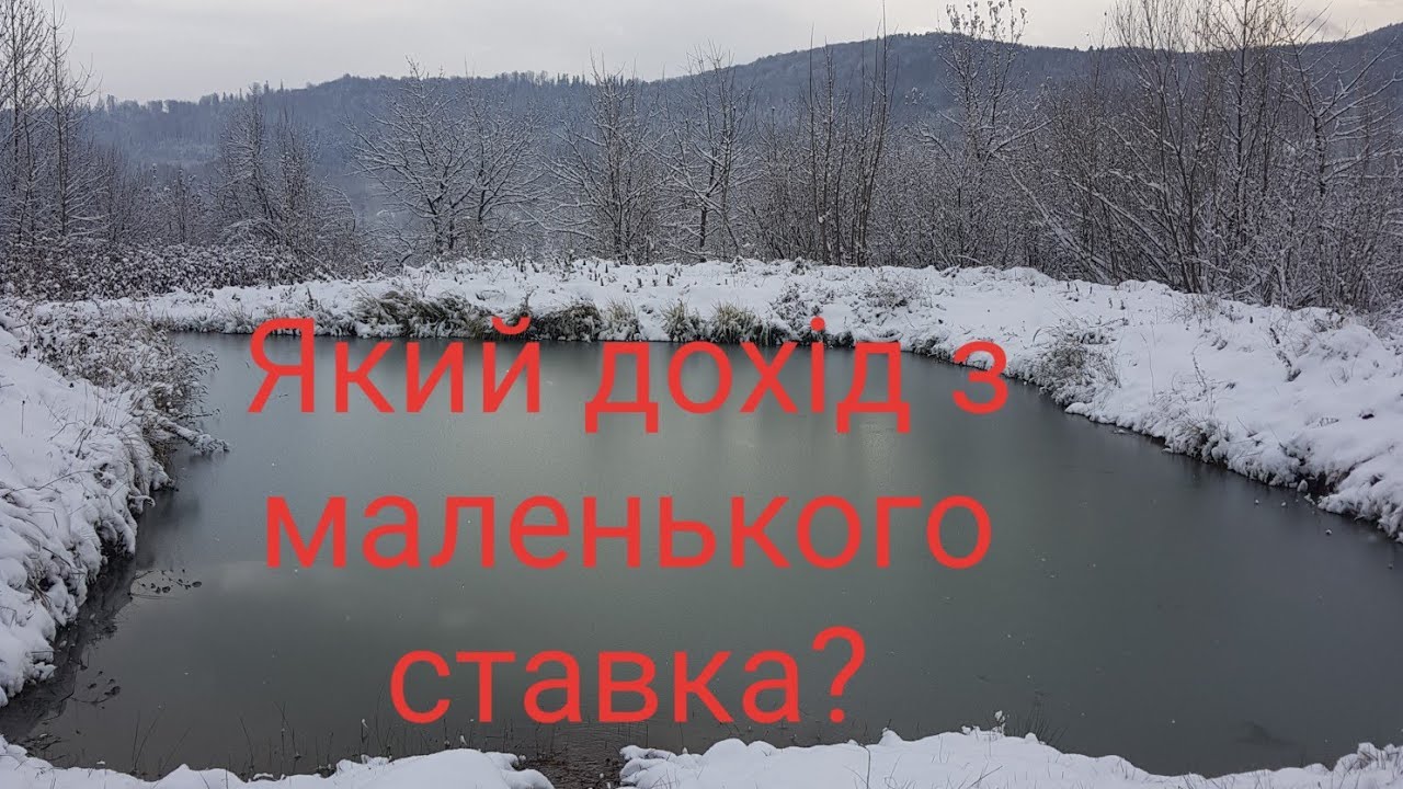Підсумки року, щодо вирощування риби в невеликому озері! Скільки можна заробити на дачному ставку?