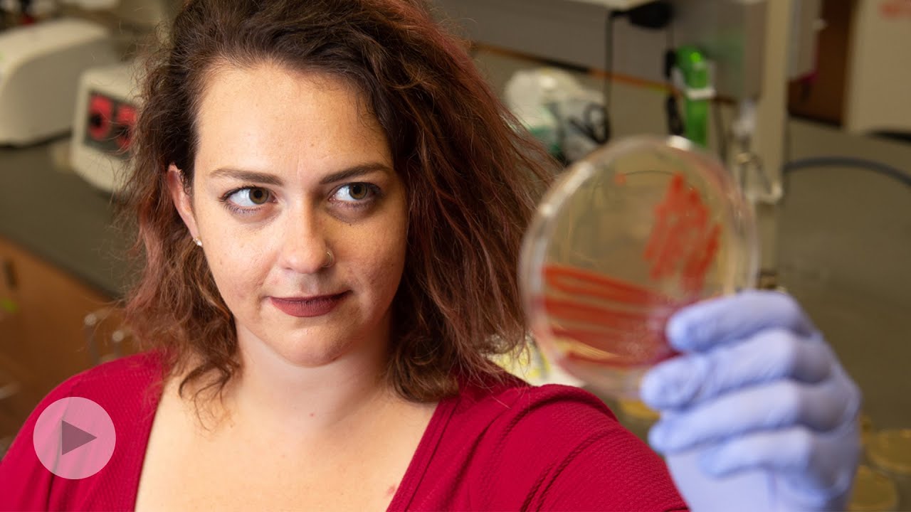 SIUE Biology Professor, &ldquo;Dr. Bugguts,&rdquo; Inspires through Science Engagement