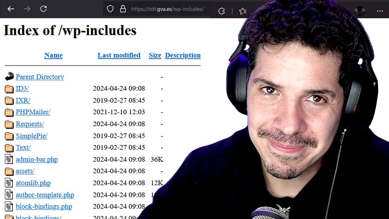 Hackear sitios web de WordPress es MUY F&Aacute;CIL por culpa de los devs