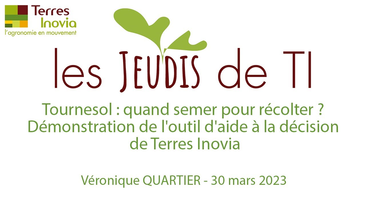 Jeudi de TI - Tournesol : quand semer pour récolter ? Démonstration de l'outil d'aide à la décision