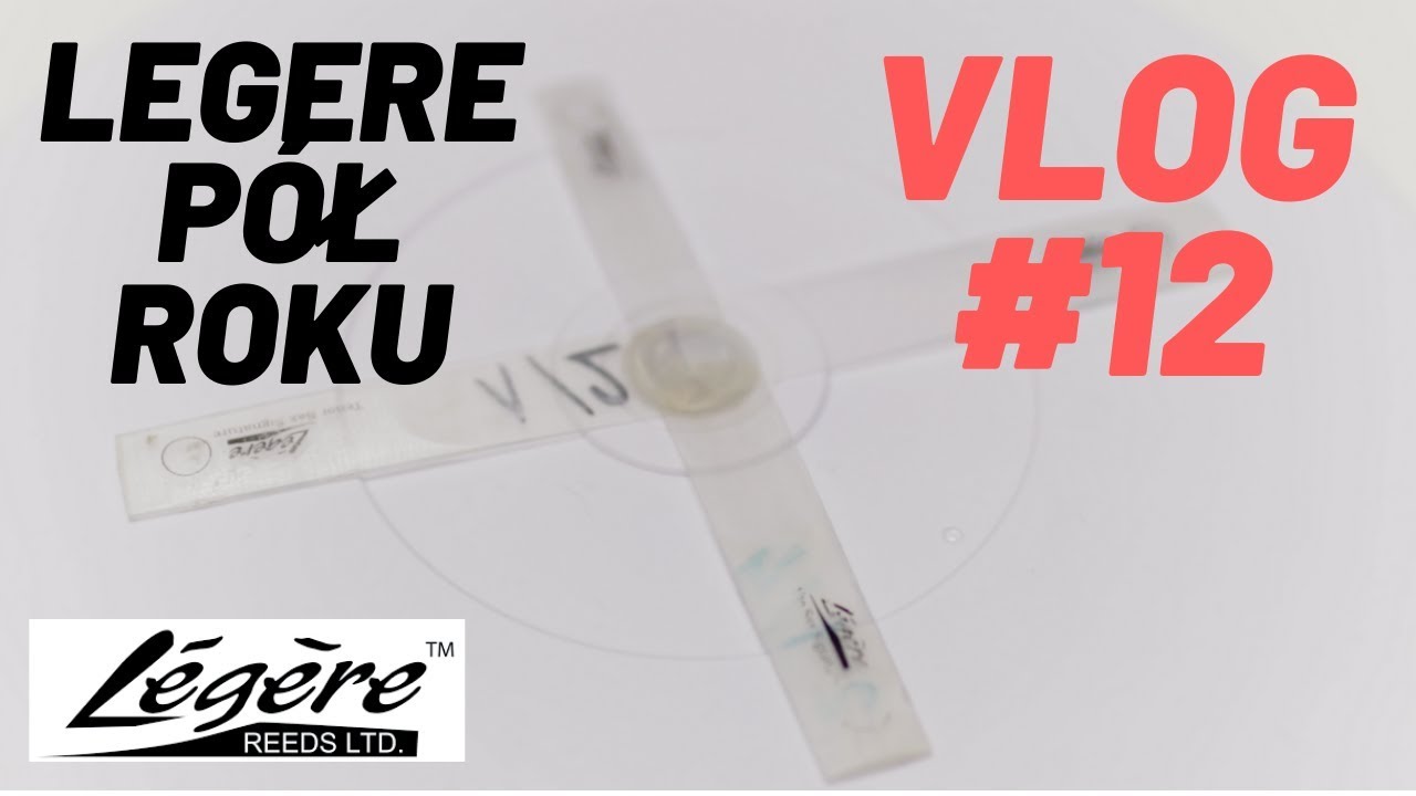 #12 VLOG 