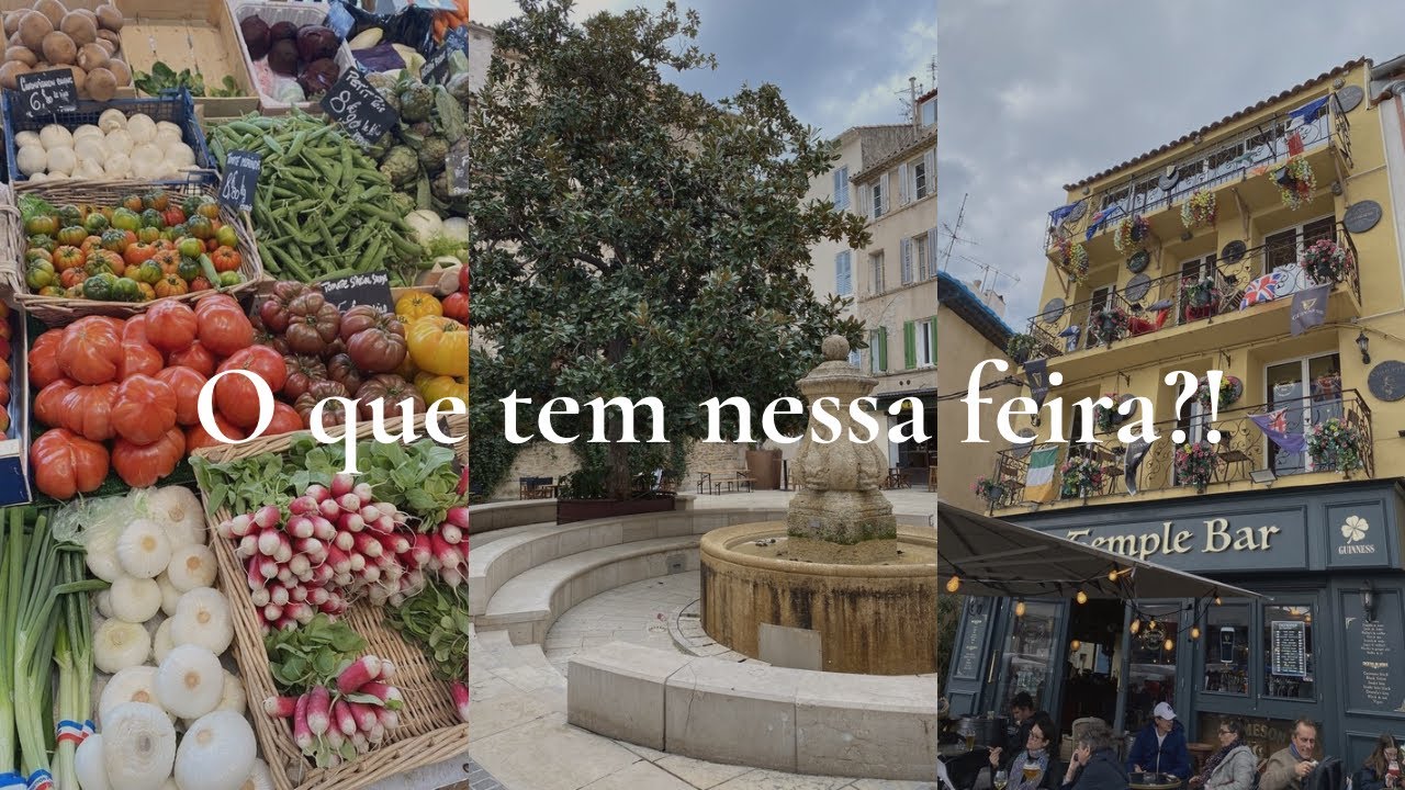 Domingo de manhã na feira de uma cidade francesa ( la ciotat) 