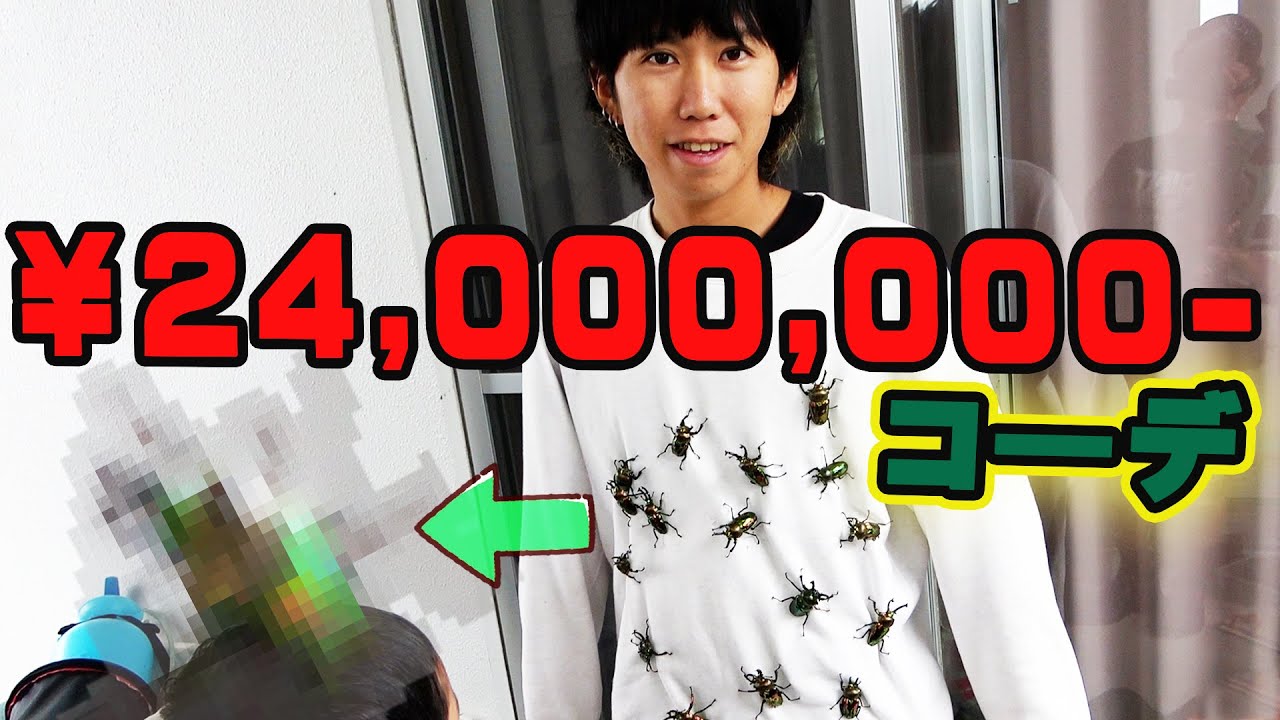 【DIY】生物マニアの家に整理整頓に来たら生き物の金額がヤバすぎる！！【生物マニアの自宅改造＃1】