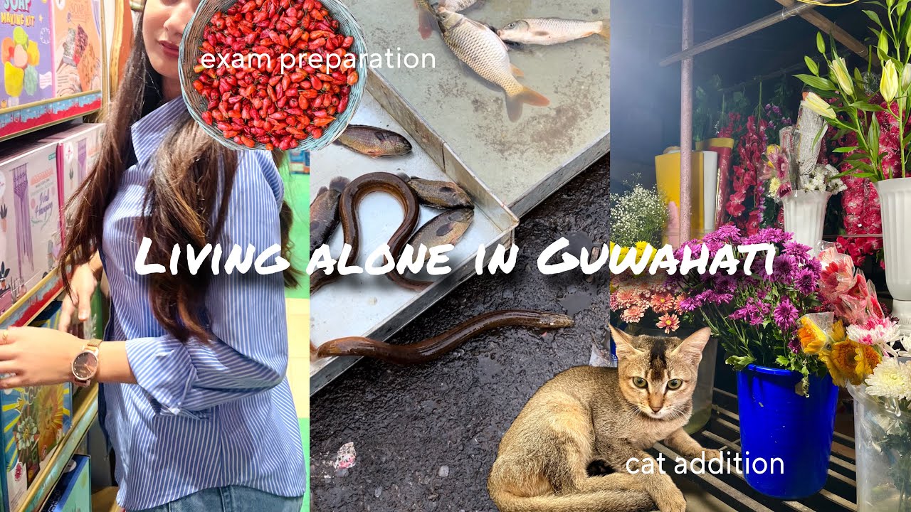 Living alone in Guwahati 🐈🌷🪴cat addition, beltola bazar, flowers, studying 📖 