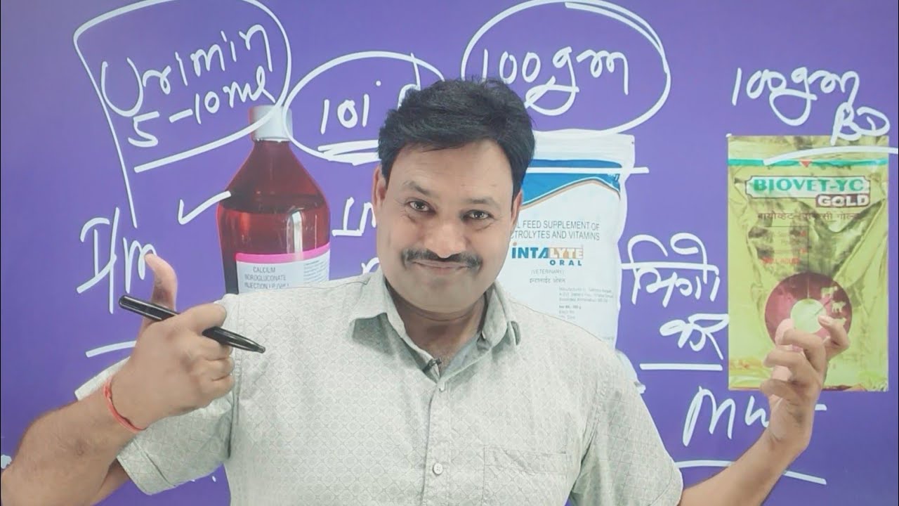 गोबर बंद के इलाज के तीन छुपे हुए रहस्य 👌गोबर बंद का इलाज 100 % Successful