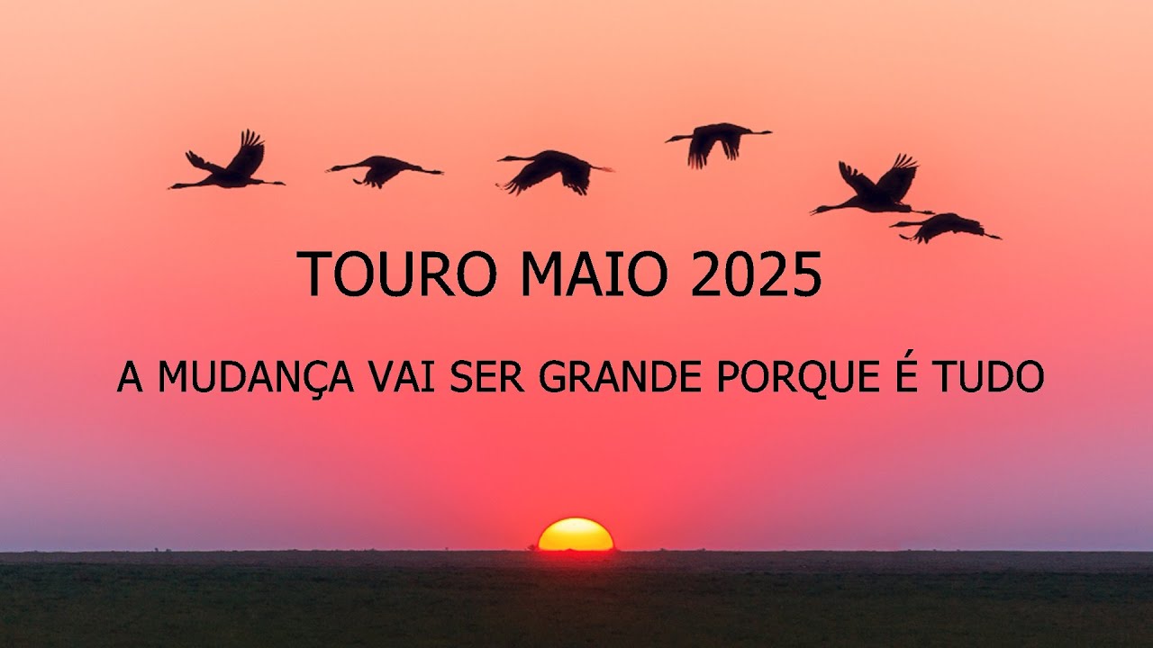 TOURO MAIO⚡ RENOVAÇÃO DE CONEXÕES E TRANSIÇÃO DE CARREIRA