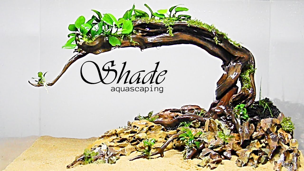 Aquascaping SHADE