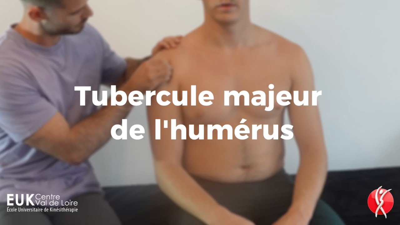 PALPATION : Tubercule Majeur de l'Humérus