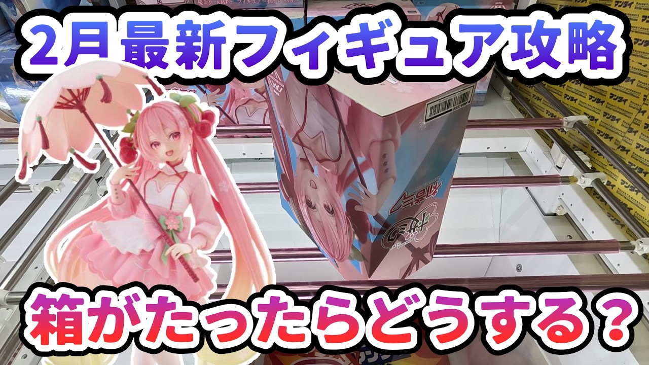 【クレーンゲーム】2月最新フィギュア攻略 箱が立ったらどうする 桜ミクAMP＋フィギュア～桜ドレスver ～